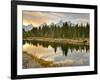 Evening Swim-Jason J. Hatfield-Framed Photographic Print