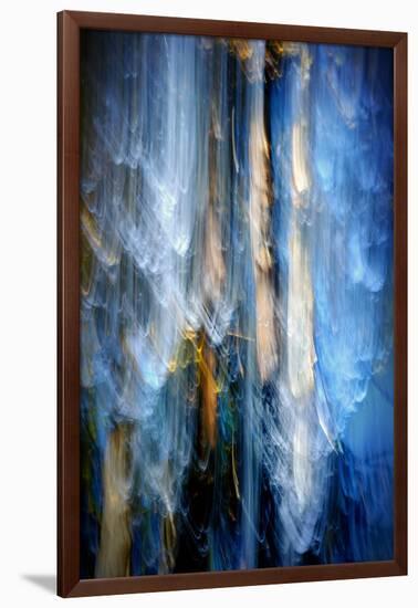 Evening Trees 1-Ursula Abresch-Framed Photographic Print