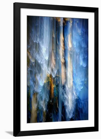 Evening Trees 1-Ursula Abresch-Framed Photographic Print