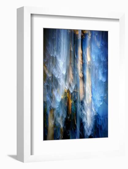 Evening Trees 1-Ursula Abresch-Framed Photographic Print