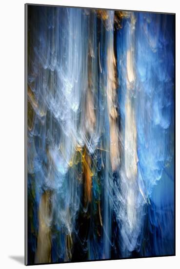 Evening Trees 1-Ursula Abresch-Mounted Photographic Print