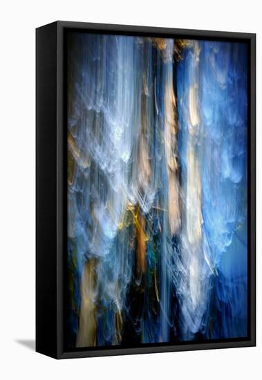 Evening Trees 1-Ursula Abresch-Framed Stretched Canvas