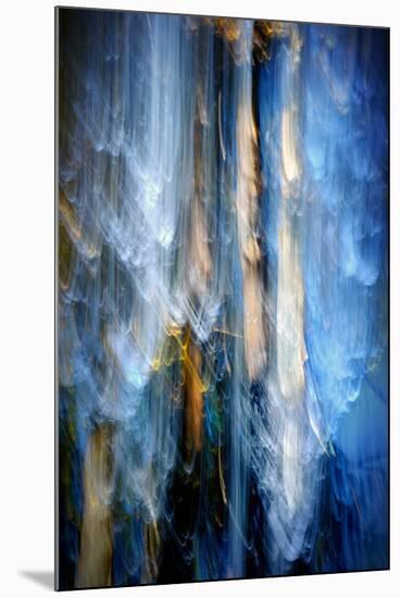 Evening Trees 1-Ursula Abresch-Mounted Premium Photographic Print