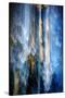 Evening Trees 1-Ursula Abresch-Stretched Canvas