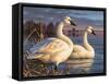 Evening Tundras-Chuck Black-Framed Stretched Canvas