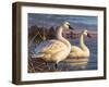 Evening Tundras-Chuck Black-Framed Giclee Print