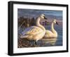 Evening Tundras-Chuck Black-Framed Giclee Print