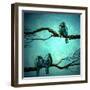 Evening Tweet-Cherie Roe Dirksen-Framed Giclee Print