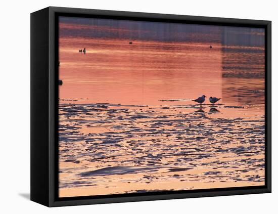 Evening View at Sunset Over Ice Covered Riddarfjarden Water, Stockholm, Sweden-Per Karlsson-Framed Stretched Canvas