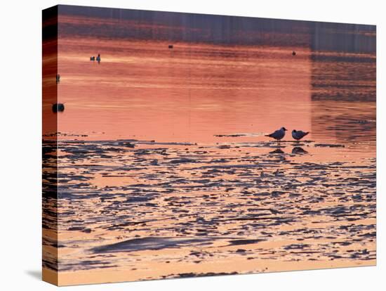Evening View at Sunset Over Ice Covered Riddarfjarden Water, Stockholm, Sweden-Per Karlsson-Stretched Canvas