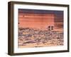 Evening View at Sunset Over Ice Covered Riddarfjarden Water, Stockholm, Sweden-Per Karlsson-Framed Photographic Print