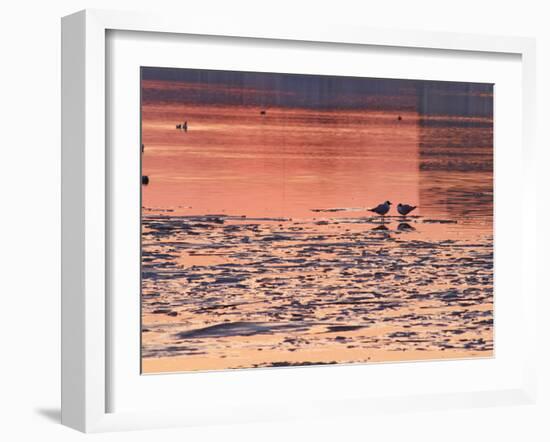 Evening View at Sunset Over Ice Covered Riddarfjarden Water, Stockholm, Sweden-Per Karlsson-Framed Photographic Print