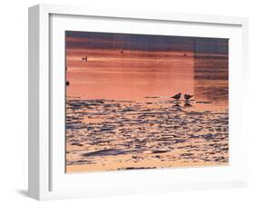 Evening View at Sunset Over Ice Covered Riddarfjarden Water, Stockholm, Sweden-Per Karlsson-Framed Photographic Print