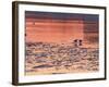 Evening View at Sunset Over Ice Covered Riddarfjarden Water, Stockholm, Sweden-Per Karlsson-Framed Photographic Print