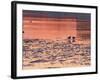 Evening View at Sunset Over Ice Covered Riddarfjarden Water, Stockholm, Sweden-Per Karlsson-Framed Photographic Print