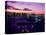 Evening View of Rainbow Bridge-null-Stretched Canvas
