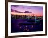 Evening View of Rainbow Bridge-null-Framed Photographic Print