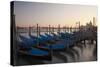 Evening view over Gondolas parked for the night.-Terry Eggers-Stretched Canvas