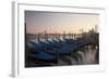 Evening view over Gondolas parked for the night.-Terry Eggers-Framed Photographic Print