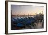 Evening view over Gondolas parked for the night.-Terry Eggers-Framed Photographic Print