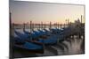 Evening view over Gondolas parked for the night.-Terry Eggers-Mounted Photographic Print