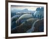 Evening Walk, 2005-Ian Bliss-Framed Giclee Print