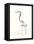 Evening Watch II-Nan Rae-Framed Stretched Canvas