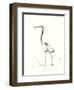 Evening Watch II-Nan Rae-Framed Art Print