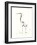 Evening Watch II-Nan Rae-Framed Art Print