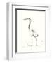 Evening Watch II-Nan Rae-Framed Art Print