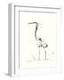 Evening Watch II-Nan Rae-Framed Art Print