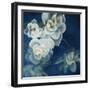 Evening Winter Rose-Kari Taylor-Framed Giclee Print