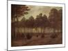 Evening-Caspar David Friedrich-Mounted Giclee Print