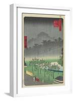 Eveningview, Paulownia Plantation at Akasaka in Downpour, April 1859-null-Framed Giclee Print