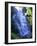 Eventail Waterfall, Cascades Du Herisson, Near Ilay, Jura, Franche Comte, France, Europe-Stuart Black-Framed Photographic Print
