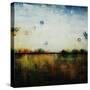 Eventide IV-Kari Taylor-Stretched Canvas