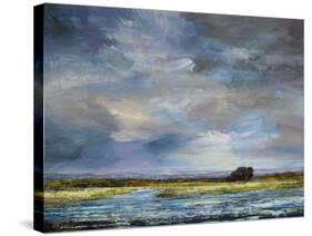 Eventide-Mark Chandon-Stretched Canvas
