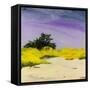 Ever Changing-Martha Wakefield-Framed Stretched Canvas
