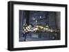 Everard 't Serclaes Monument, Brussels, Belgium, Europe-Neil Farrin-Framed Photographic Print