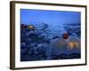 Everest Base Camp in Nepal-null-Framed Photographic Print