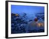 Everest Base Camp in Nepal-null-Framed Photographic Print