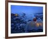 Everest Base Camp in Nepal-null-Framed Photographic Print