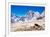 Everest Peak with prayer flags, Himalayas, Nepal, Asia-Laura Grier-Framed Photographic Print
