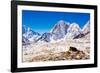 Everest Peak with prayer flags, Himalayas, Nepal, Asia-Laura Grier-Framed Photographic Print