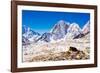 Everest Peak with prayer flags, Himalayas, Nepal, Asia-Laura Grier-Framed Photographic Print