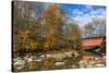 Everett Road Covered Bridge on Furnace Run Cree, Cuyahoga National Park, Ohio-Chuck Haney-Stretched Canvas