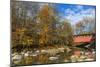 Everett Road Covered Bridge on Furnace Run Cree, Cuyahoga National Park, Ohio-Chuck Haney-Mounted Photographic Print