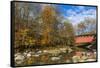 Everett Road Covered Bridge on Furnace Run Cree, Cuyahoga National Park, Ohio-Chuck Haney-Framed Stretched Canvas