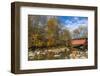 Everett Road Covered Bridge on Furnace Run Cree, Cuyahoga National Park, Ohio-Chuck Haney-Framed Photographic Print