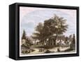 Canvas Black